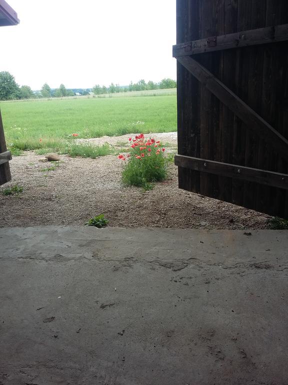 Agrocamp Pawlowka (Suwalki) Exterior foto