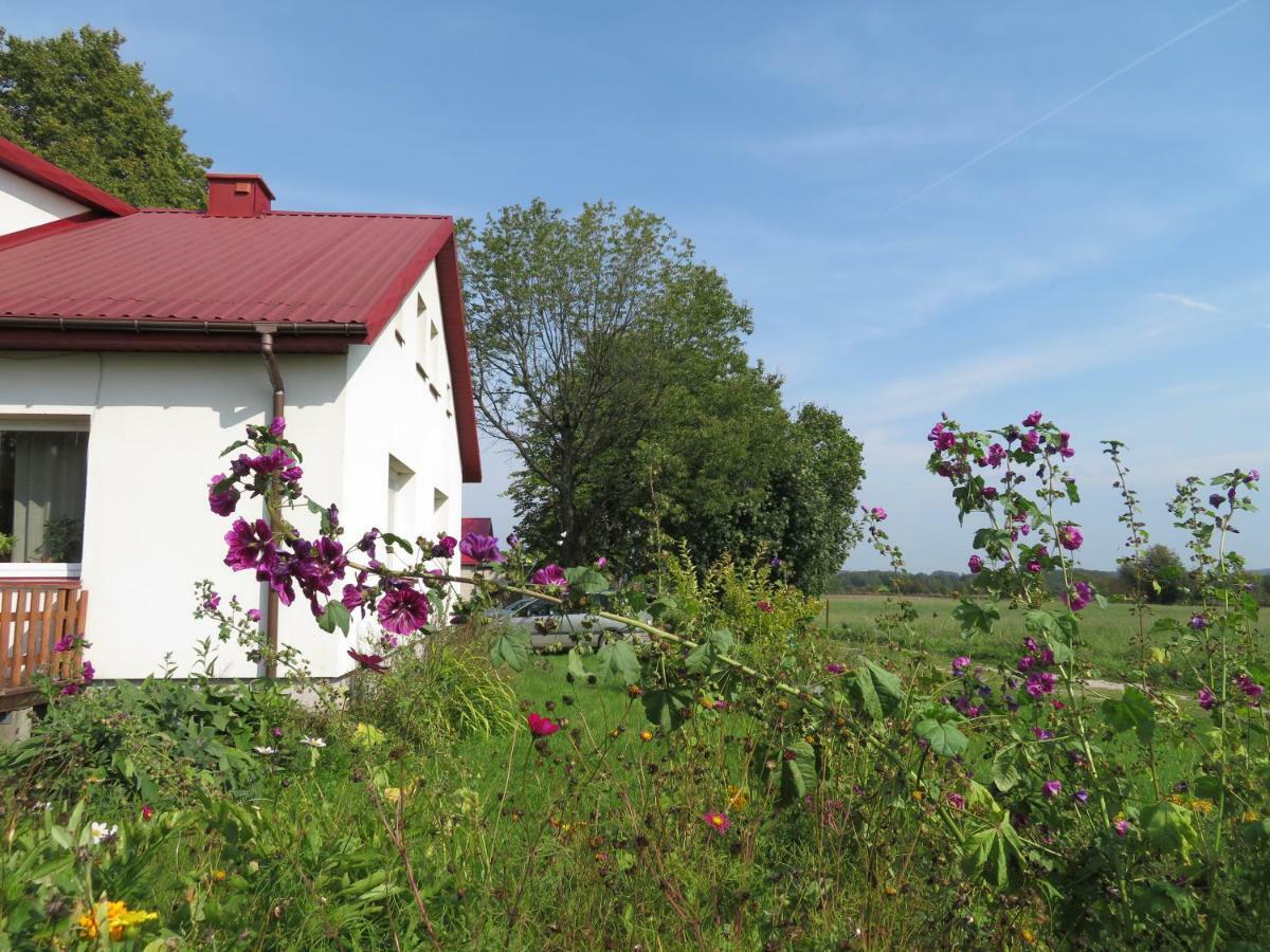 Agrocamp Pawlowka (Suwalki) Exterior foto